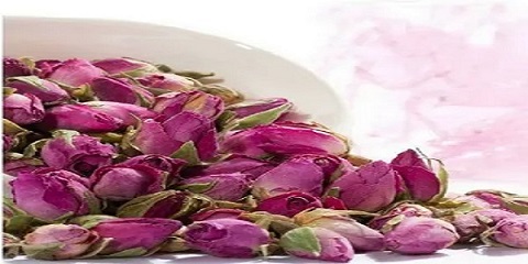 تصویر 4 از قیمت خرید غنچه گل محمدی عمده به صرفه و ارزان
